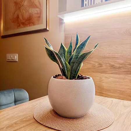 Apparition Hill דירה *