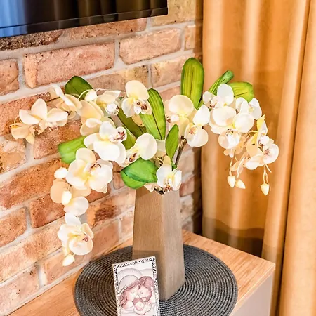 דירה Apparition Hill *